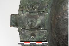 Foto von Bronzebreitrandschale (NHMW-PRAE-025600)